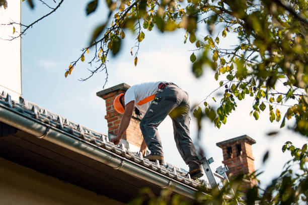 Best Affordable Roofing Company  in Clinton, WI