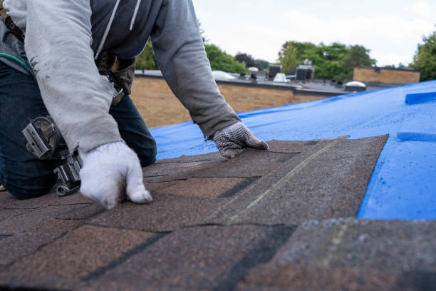 Best Flat Roof Repair Services  in Clinton, WI