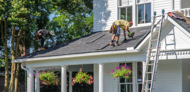 Best Roof Gutter Cleaning  in Clinton, WI