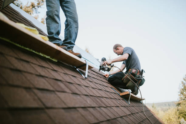 Best Metal Roofing Contractor  in Clinton, WI